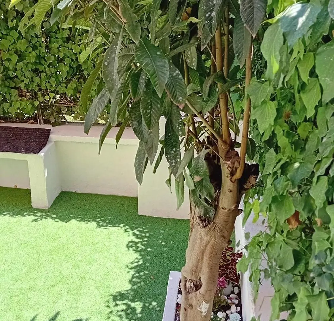 Appartamento Il Giardino Di Eva Casalnuovo Di Napoli 0*,  Italia